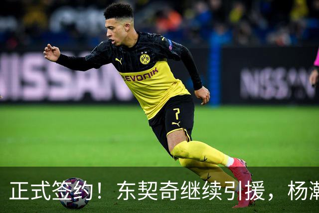 正式签约！东契奇继续引援，杨瀚森被挖墙脚！