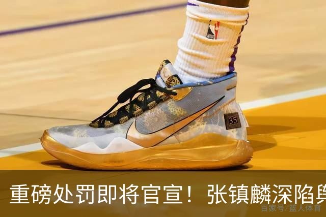 重磅处罚即将官宣！张镇麟深陷舆论遭到质疑，大量球迷提议撤销上海男篮总冠军头衔